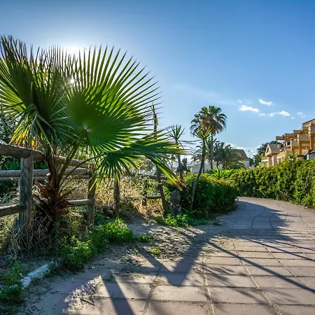 The Beachfront Gem Apartment